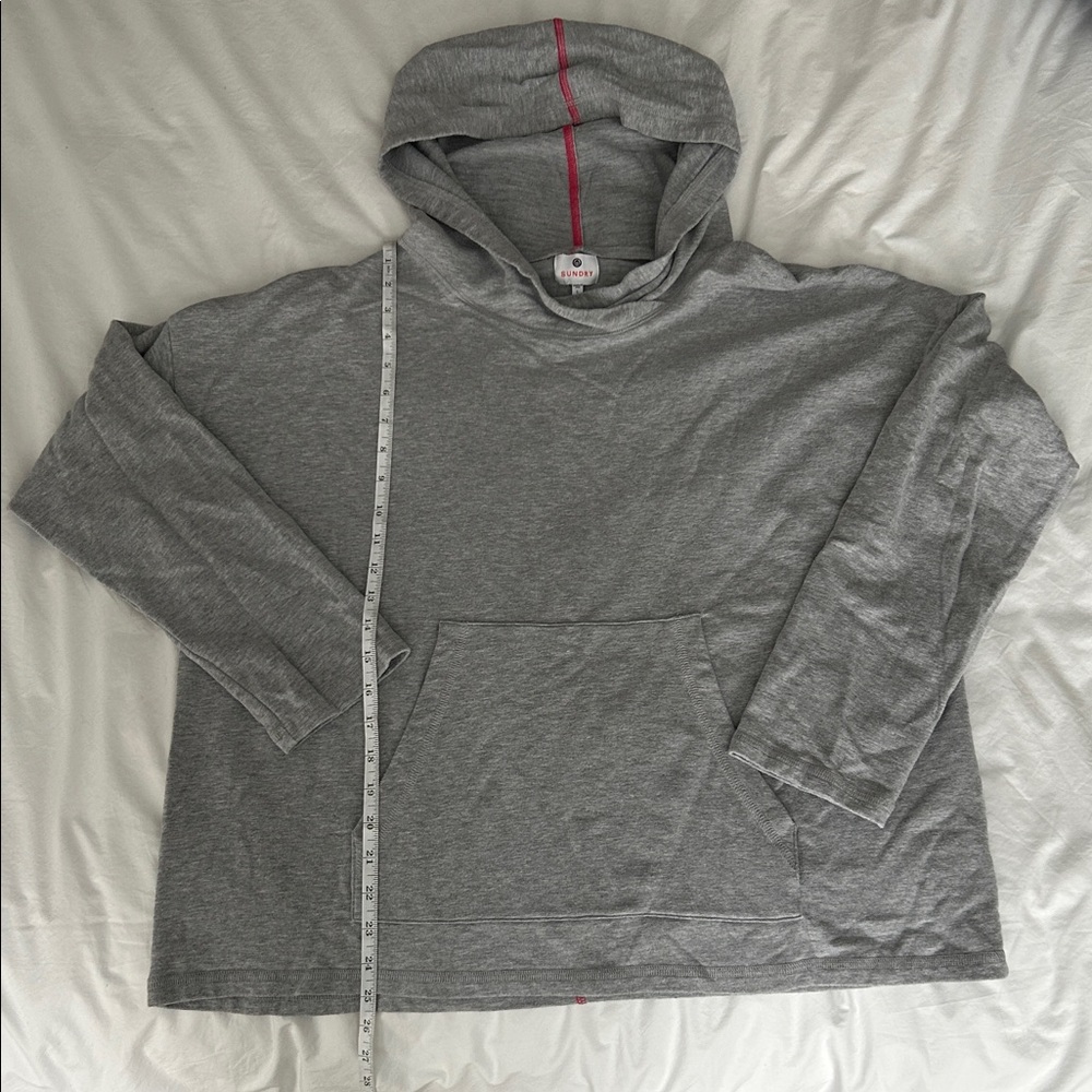Sundry Gray Hooded Sweatshirt with Pink Accent